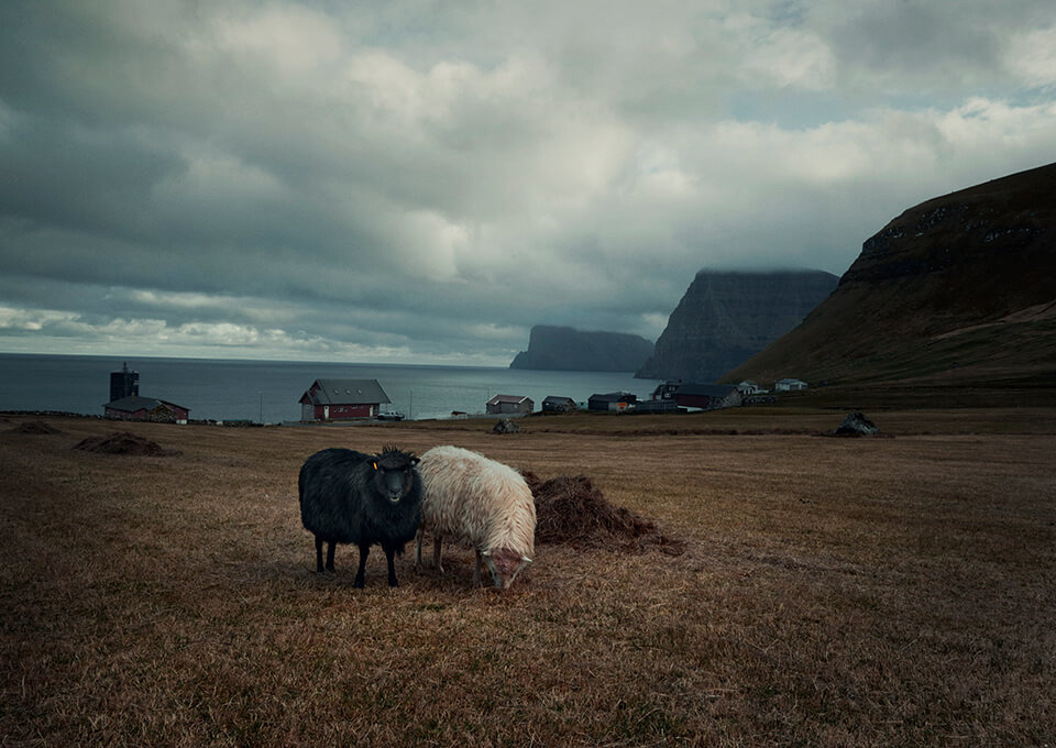 Trøllanes Faeröereilanden | Faroe islands Kalsoy